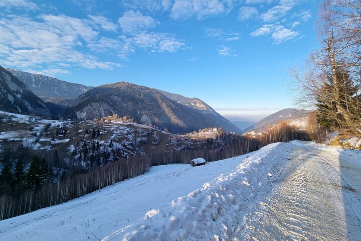 Day Tour from Bucharest-Carpathian Snowmobile Experience