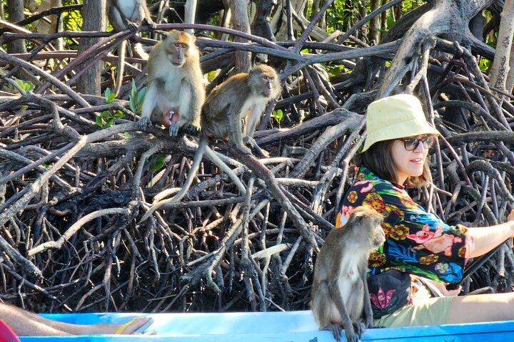 Half day Mangrove by Kayaking or Longtail boat from Koh Lanta