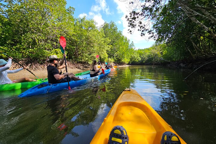 Half day Mangrove by Kayaking or Longtail boat from Koh Lanta