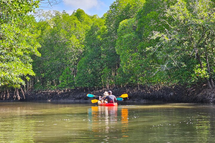 Half day Mangrove by Kayaking or Longtail boat from Koh Lanta