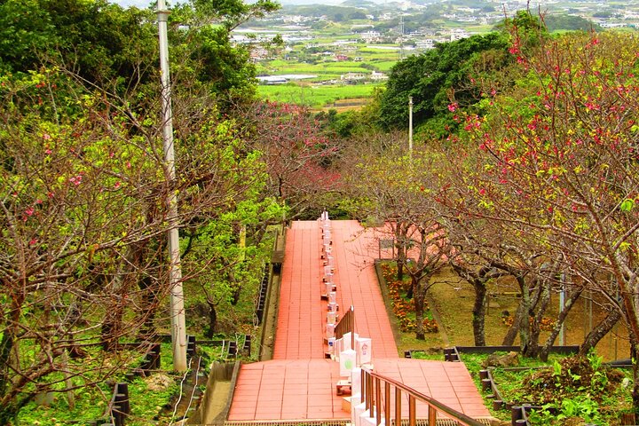 Okinawa Highlight Tour by Private Car