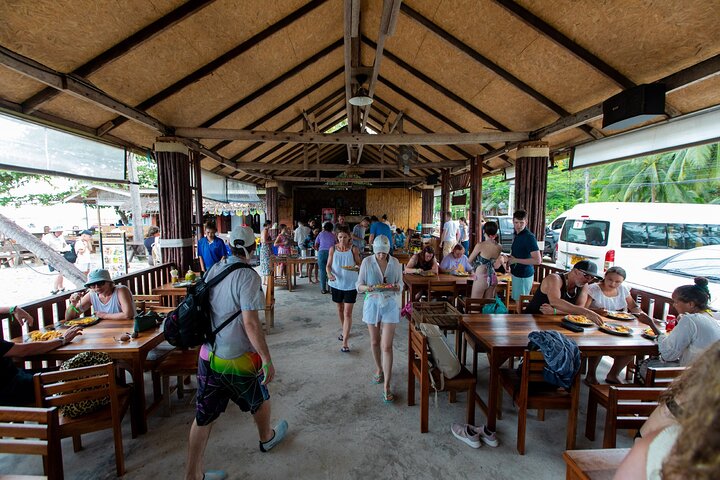 Pink Dolphin and Pig Island Snorkeling Tour from Koh Samui