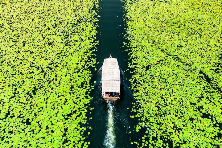 Skadar Lake National Park Guided Boat Tour with Wooden Boat