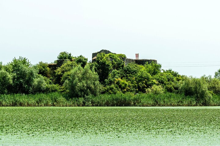 Skadar Lake National Park Guided Boat Tour with Wooden Boat