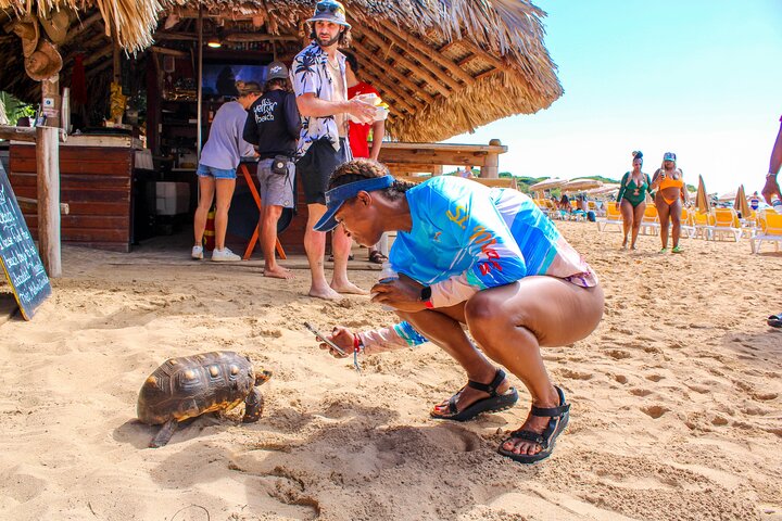 All-Inclusive Local Guided Pinel Island Tour