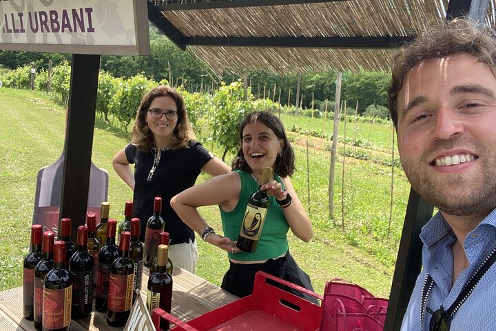 Tasting in a Tuscan Vineyard with transfer from Pisa