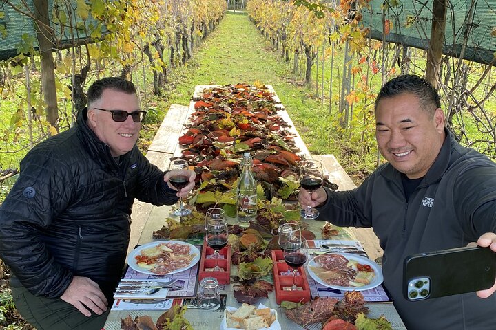 Tasting in a Tuscan Vineyard with transfer from Pisa