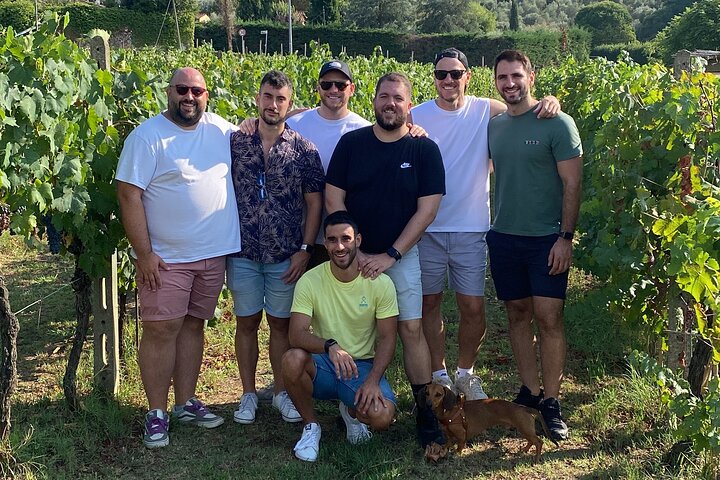 Lucca tour and Pisa Tower + WineTasting by van from Livorno Port