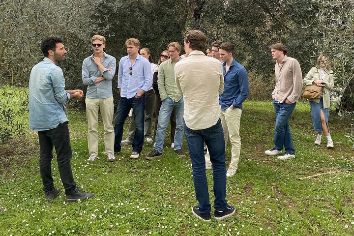 Tuscan Wine Tour in Lucca by van