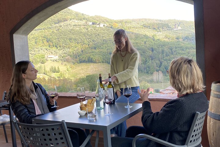 Tuscan Wine Tour in Lucca by van