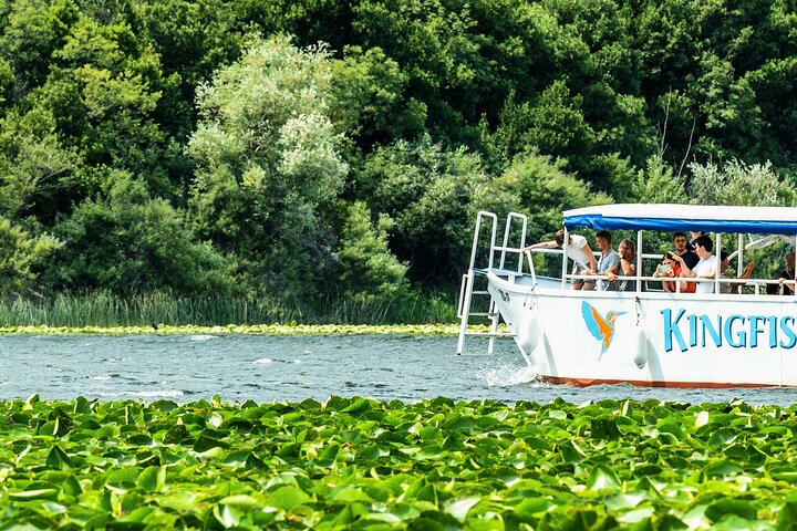 Skadar Lake & Crnojevića River: Swimming, Snacks & Wine