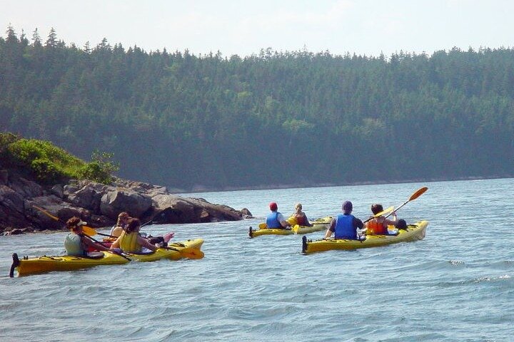 Aqua Safari Kayak tour departing Southwest Harbor