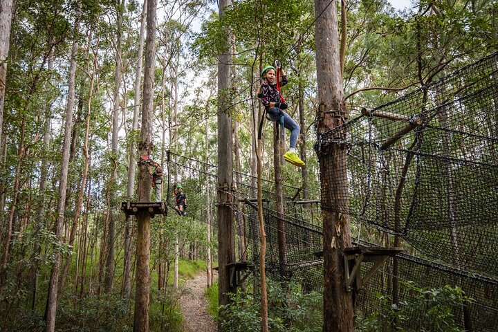 Tamborine Mountain High Ropes and Zipline Adventure Park