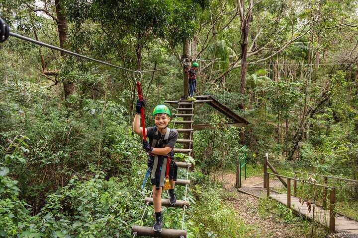 Tamborine Mountain High Ropes and Zipline Adventure Park