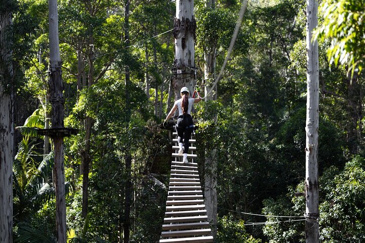Tamborine Mountain High Ropes and Zipline Adventure Park