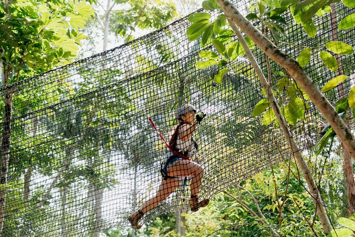 Tamborine Mountain High Ropes and Zipline Adventure Park