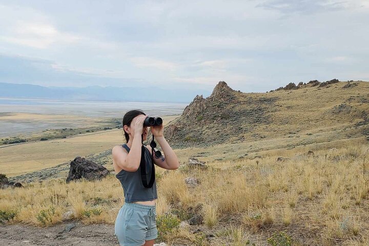 Great Salt Lake Safari - Discover Antelope Island