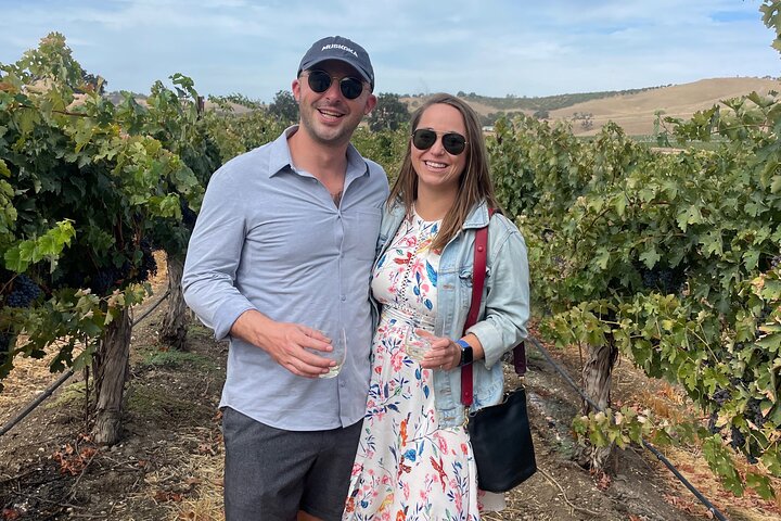 Vineyard Tour Paso Robles Sidecar Wine Adventure