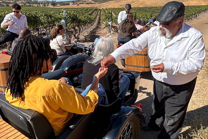 Vineyard Tour Paso Robles Sidecar Wine Adventure