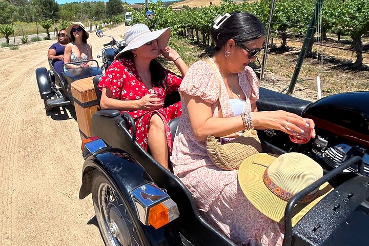 Vineyard Tour Paso Robles Sidecar Wine Adventure