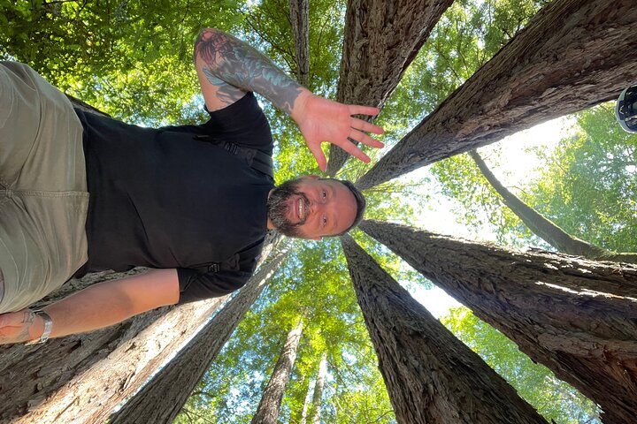 Redwoods of Marin and Mt. Tamalpais Walking Tour with Local Guide