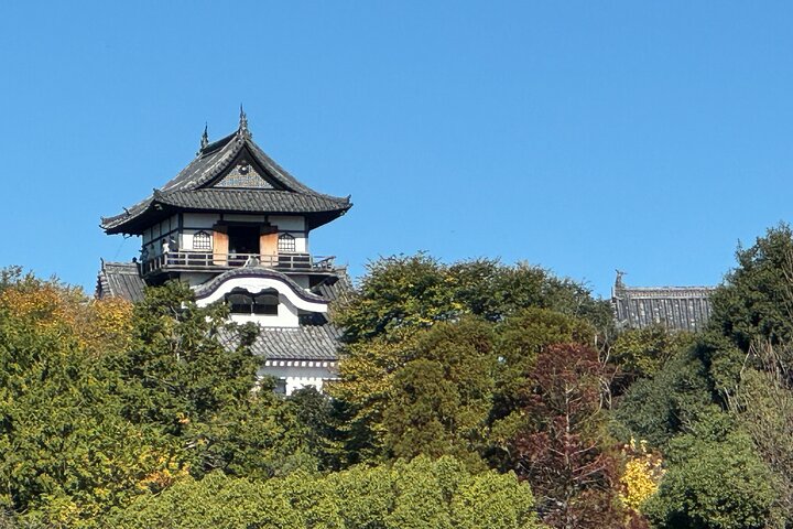 Nagoya: National Treasure Inuyama Castle & Tea Room Private Tour