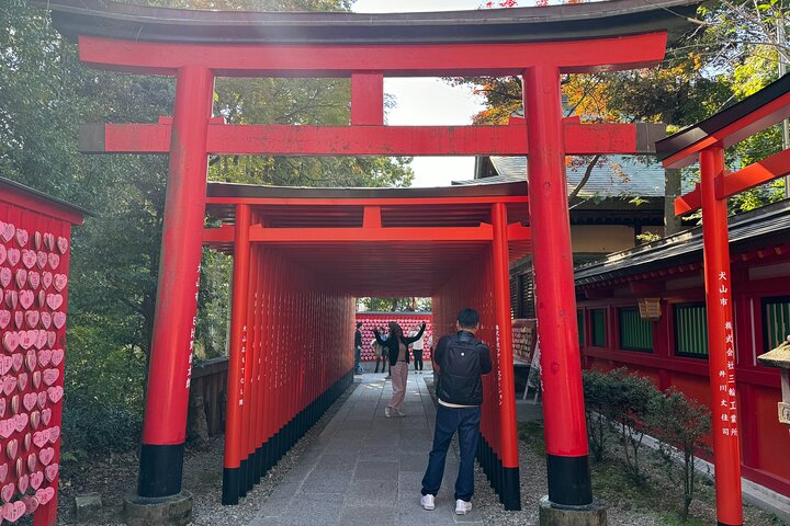 Nagoya: National Treasure Inuyama Castle & Tea Room Private Tour