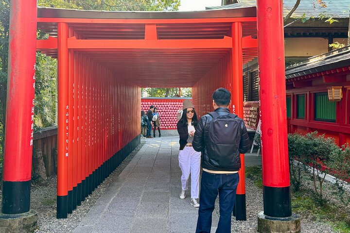 Nagoya: National Treasure Inuyama Castle & Tea Room Private Tour
