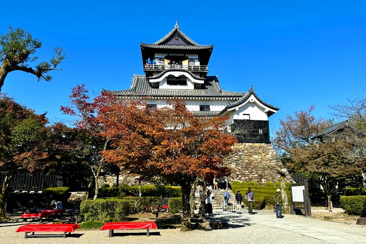 Nagoya: National Treasure Inuyama Castle & Tea Room Private Tour