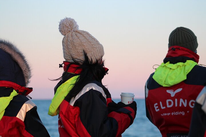 The Original Classic Whale Watching from Reykjavik