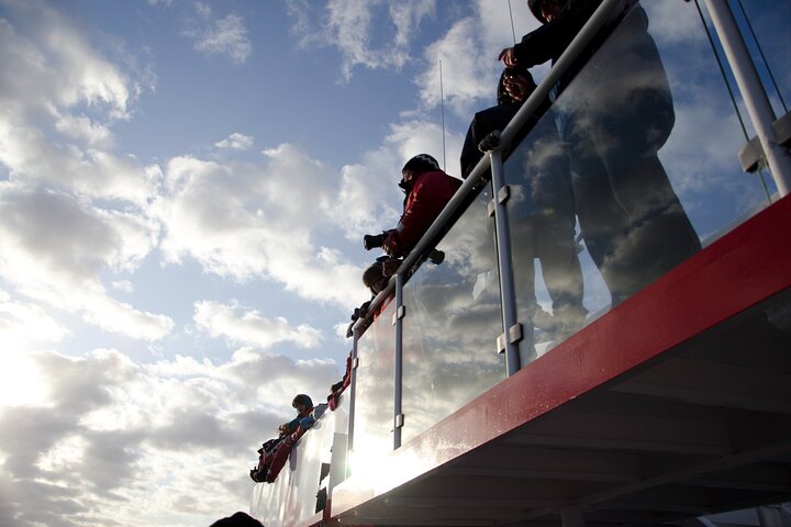 The Original Classic Whale Watching from Reykjavik