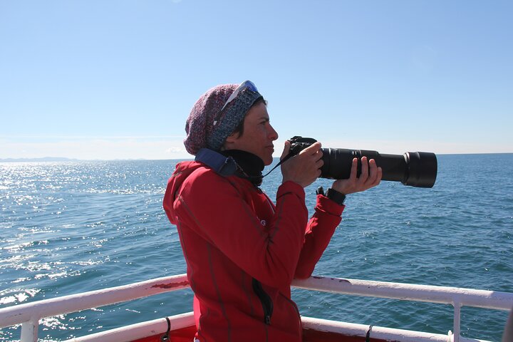The Original Classic Whale Watching from Reykjavik