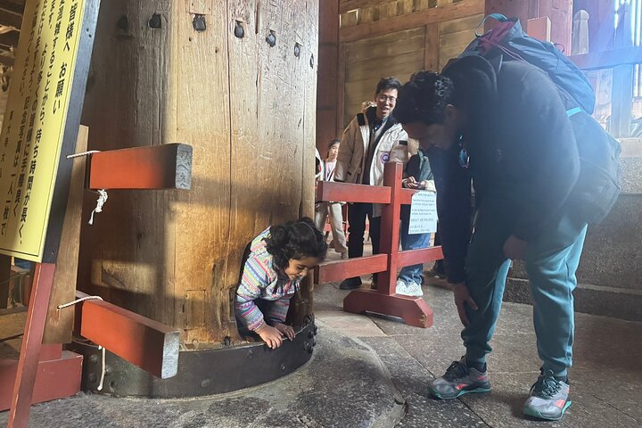 Private Nara Tour and Sake Tasting (Departing from Kyoto/Nara)