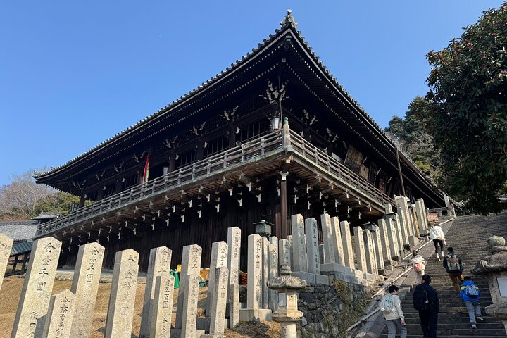 Private Nara Tour and Sake Tasting (Departing from Kyoto/Nara)