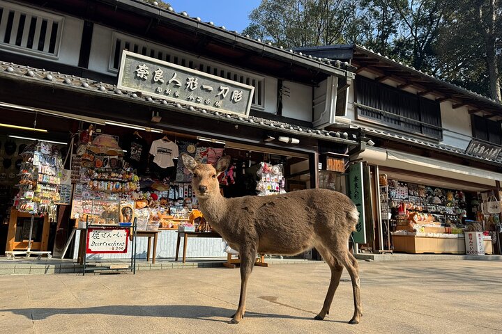 Private Nara Tour and Sake Tasting (Departing from Kyoto/Nara)