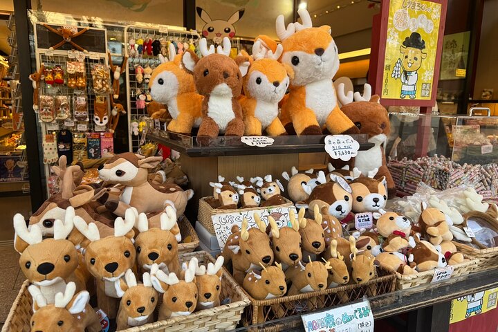 Private Nara Tour and Sake Tasting (Departing from Kyoto/Nara)