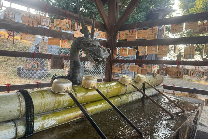 Private Nara Tour and Sake Tasting (Departing from Kyoto/Nara)