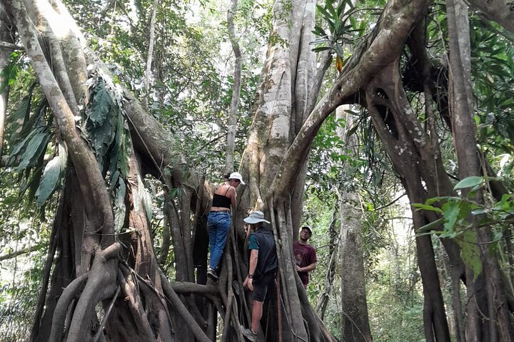 3/Days 2 Nights Amazon Rainforest Wildlife 270 usd