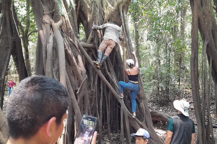 3/Days 2 Nights Amazon Rainforest Wildlife 270 usd