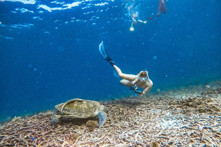 Koh Tao 5 Best Snorkeling Sunset Tour by Big Boat
