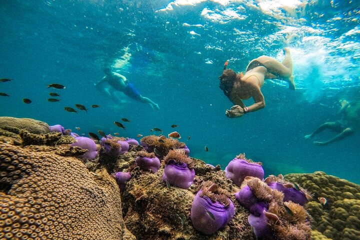Koh Tao 5 Best Snorkeling Sunset Tour by Big Boat