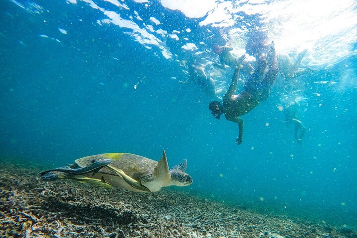 Koh Tao 5 Best Snorkeling Sunset Tour by Big Boat