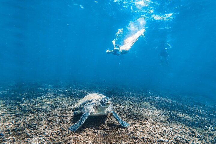 Koh Tao 5 Best Snorkeling Sunset Tour by Big Boat