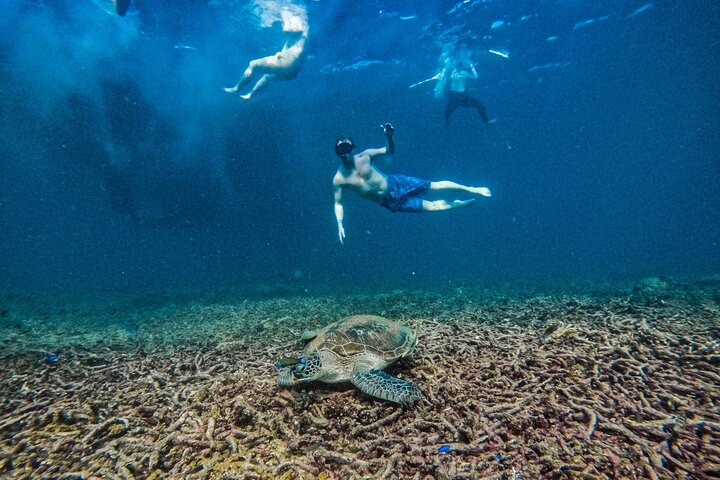 Koh Tao 5 Best Snorkeling Sunset Tour by Big Boat
