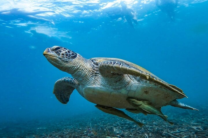 Koh Tao 5 Best Snorkeling Sunset Tour by Big Boat