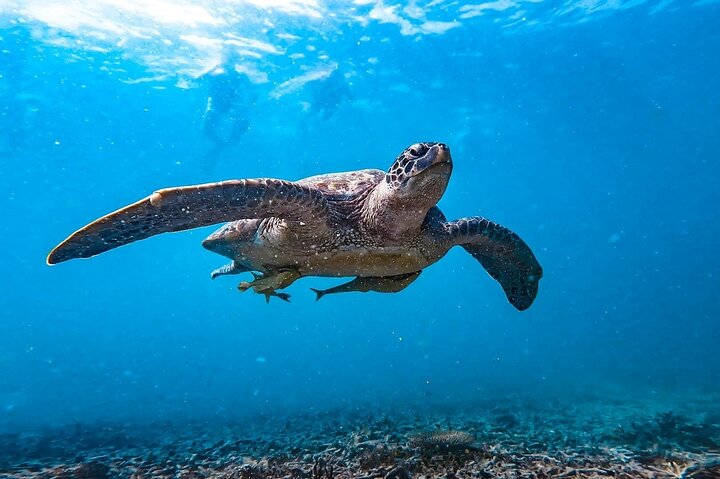 Koh Tao 5 Best Snorkeling Sunset Tour by Big Boat