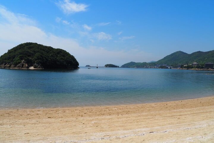 One Day Fukuyama Castle Tomonoura and Sensui jima Island Tour