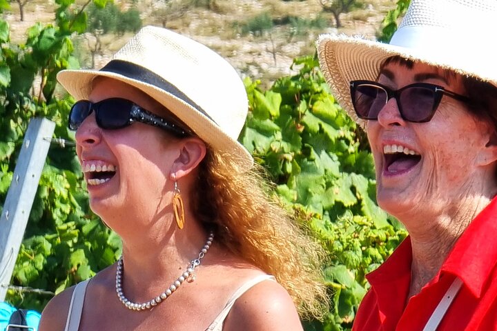 Korcula Buggy (Official) Safari Tour - Local Food & Wine Tasting