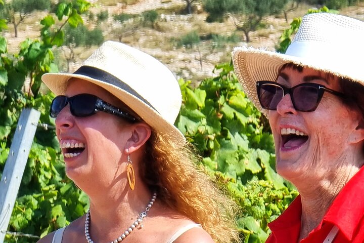 Korcula Buggy | Cruise Shore Excursion | Port Tour (Ana & Branko)