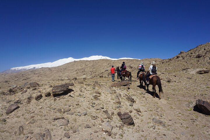 Day Trip to Baisha Lake and Karakul Lake with Private Car
